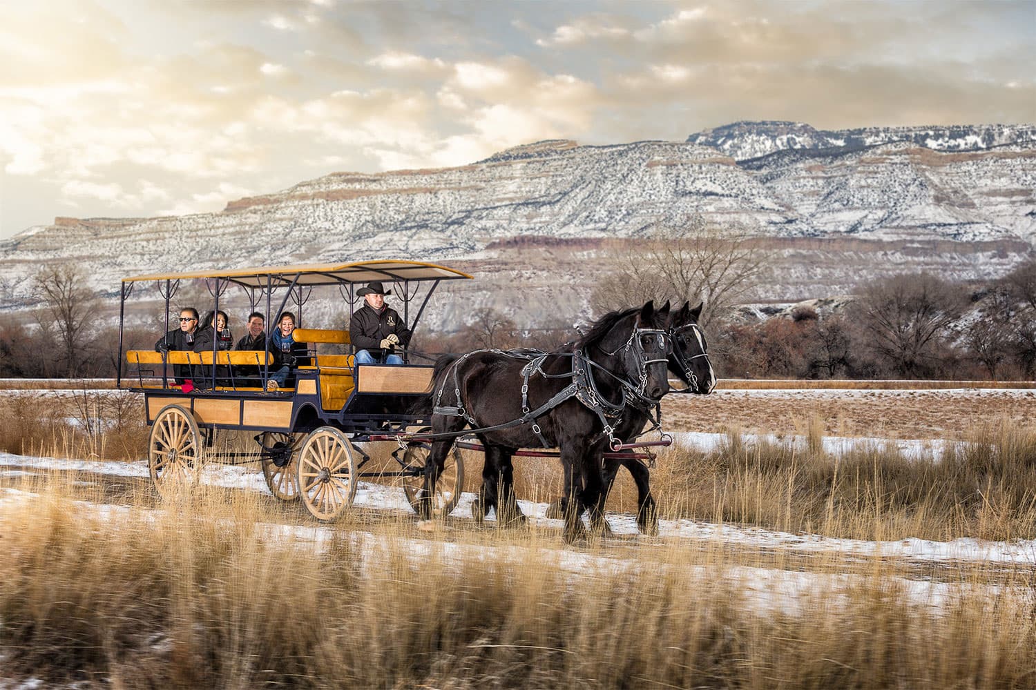 Two large, black horses pull people in a carriage past the snow-covered Grand Mesa at Palisade River Ranch