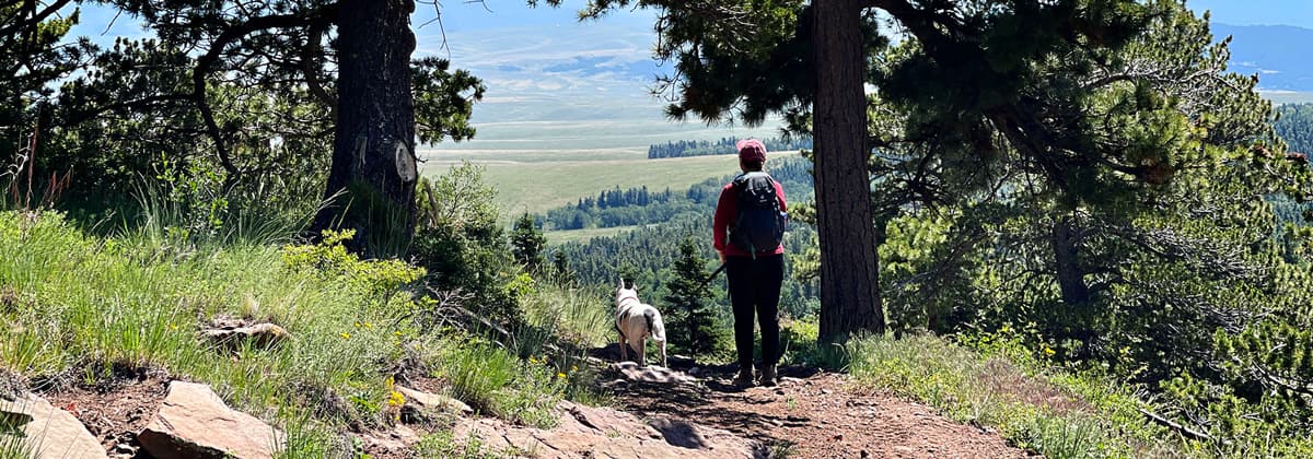 A person with a backpack and hat on stands on a dirt trail with their leashed dog looking out at a grove of pine trees on the Rainbow Trail in Westcliffe, Colorado.