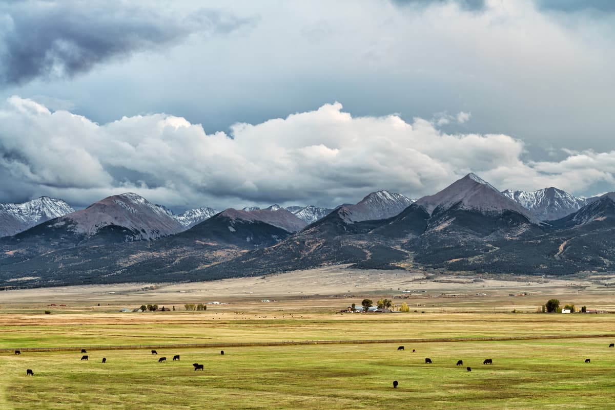 A photo of the sweeping and purple Wet Mountain Valley in Westcliffe, Colorado. There are low, gray clouds looming around the peaks of the mountains. The mountains lead way to green and yellow grass pastures speckled with black cows.