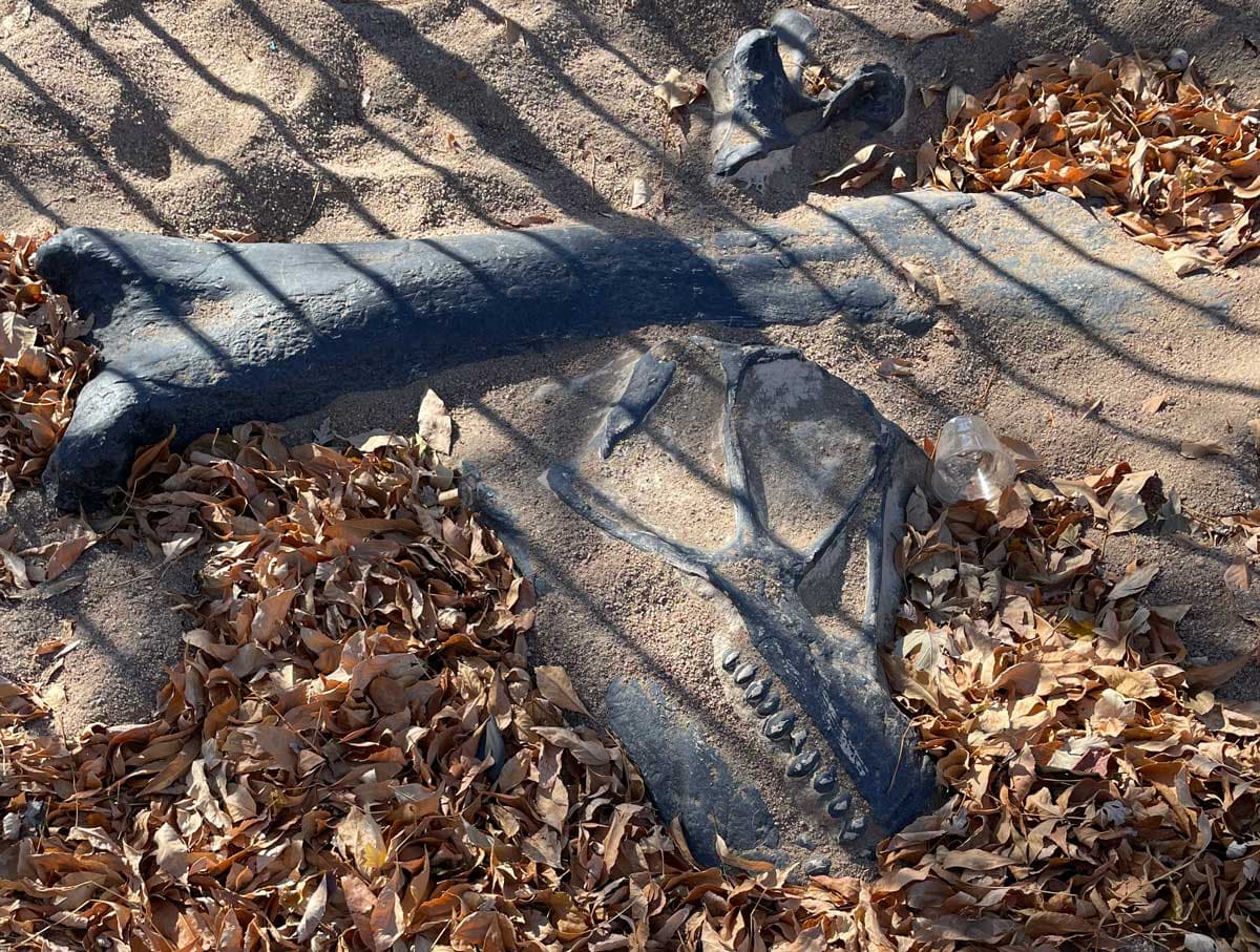 Best Western Denver Southwest