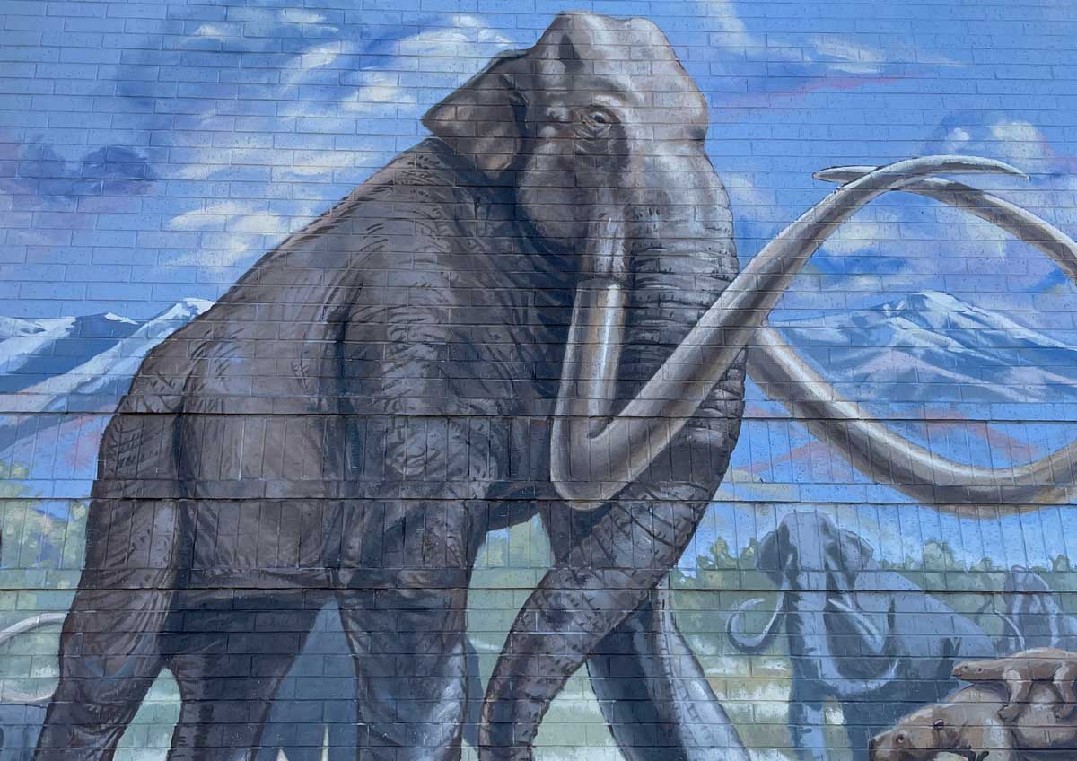 Best Western Denver Southwest