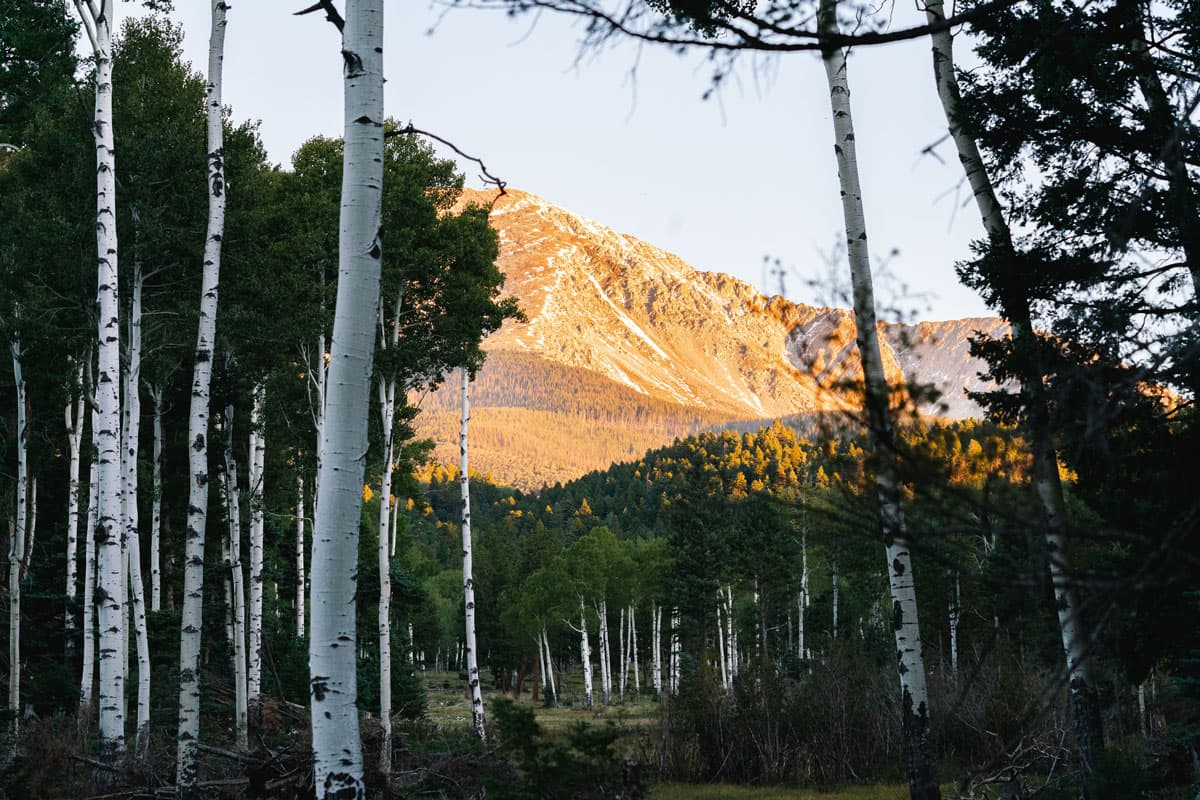 Scenic mountain views with aspen trees in the foreground at Trinchera Blanca Ranch