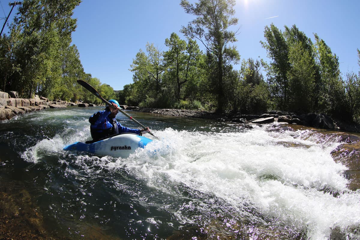 A person whitewater kayaks through Clear Creek surrounded by tall trees with green leaves and a blue sky.