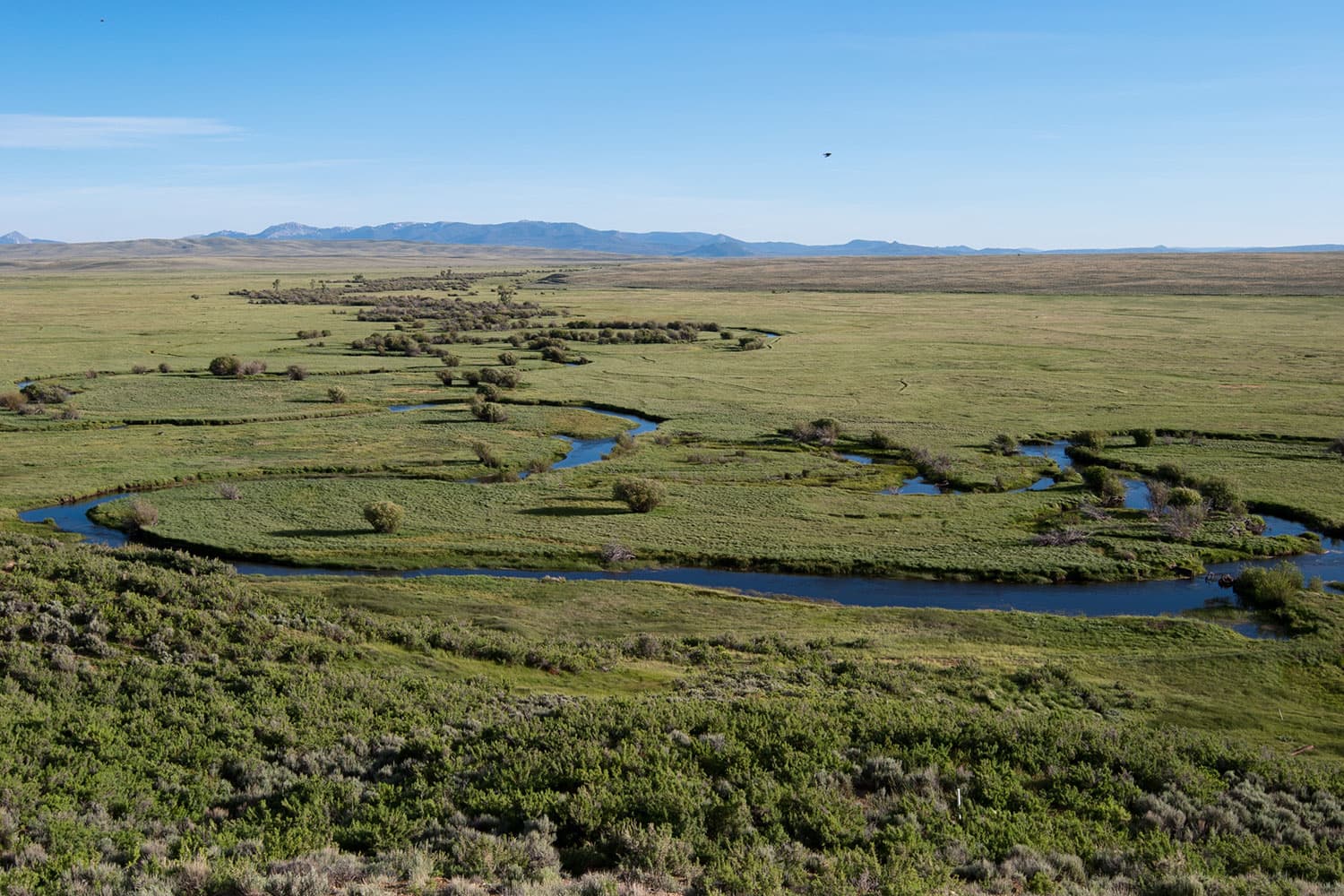 An aerial view of the snaking, blue Illinois River amongst green grasses. In the distance mountains rise up to meet a blue, hazy sky.