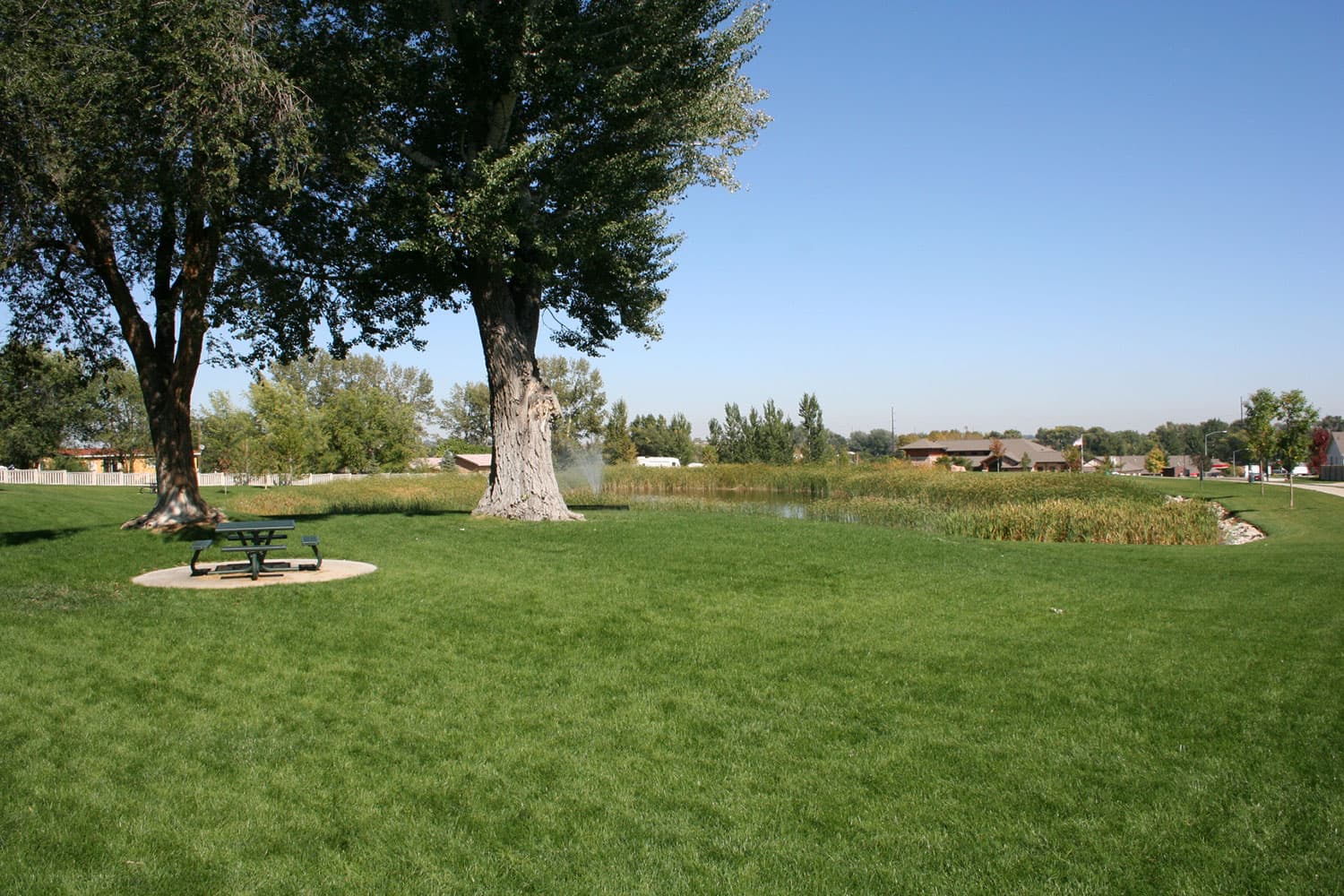 The green lawn of Blue Spruce Park has a picnic table in a cement slab circle with a pond with reeds sticking out behind it. There are trees with green leafs near the water's edge.