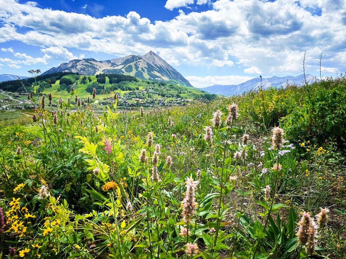 Mount Crested Butte rises above the Gunnison Valley in the summer