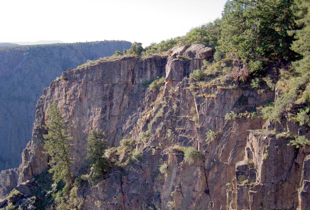 A few plants cling to the steep, rocky face of the Black Canyon of the Gunnison National Park in Colorado.