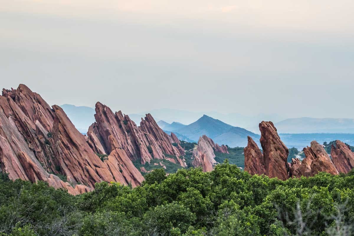 Slanted, red slabs of rock jut up from the ground between dark-green foliage at Roxborough State Park in Colorado.