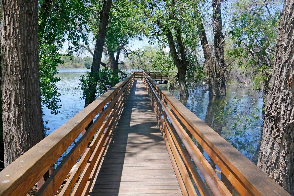 A boardwalk in Barr Lake State Park