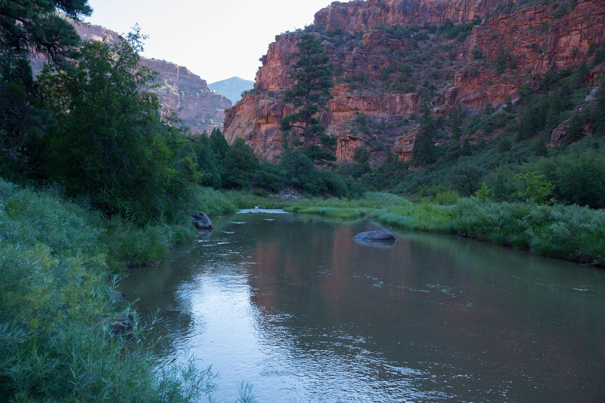 The Dolores River is surrounded by red-rock canyon walls with green grasses and trees on both riverbanks.