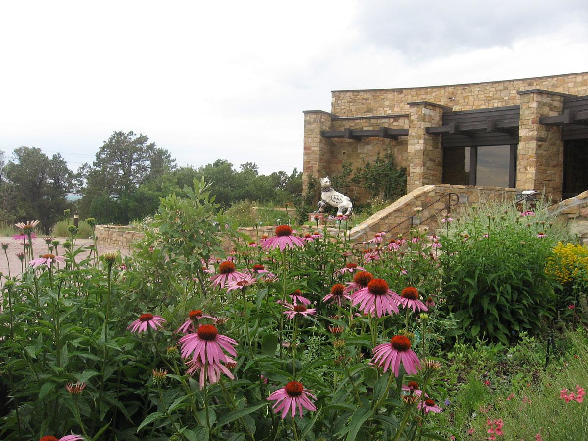 A stone building sits in the background with a statue of an animal. In the foreground pink cone flowers thrive in green bushes.