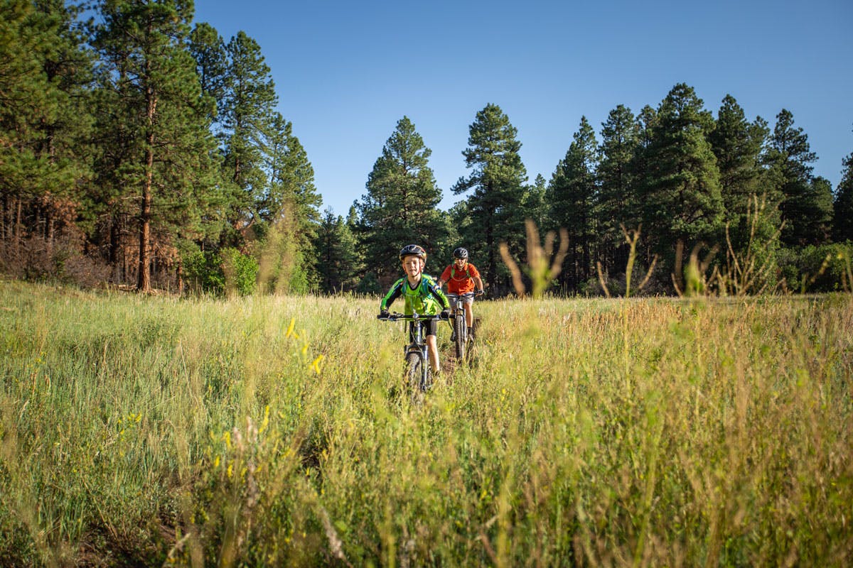 Two mountain bikers on Boggy Draw trail bike through the high green grasses underneath a blue sky surrounded by evergreen trees in Dolores