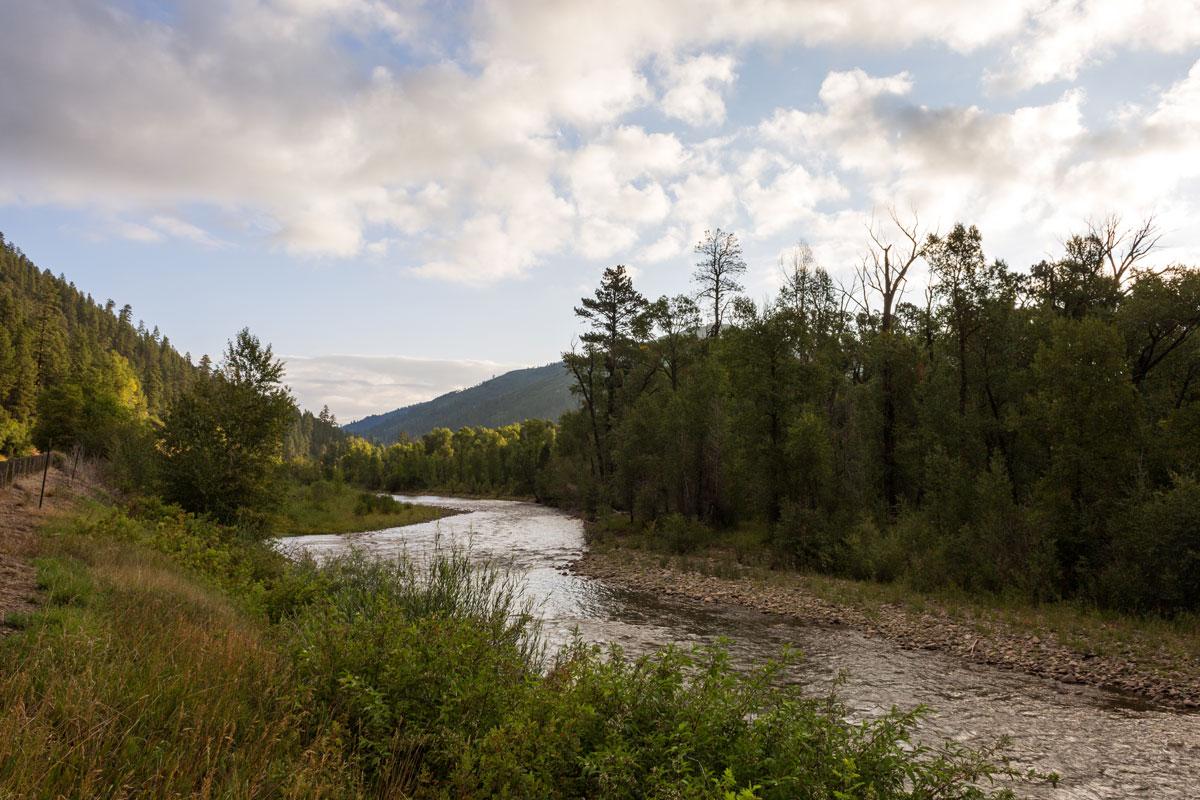 From the riverbank, the Dolores River flows down past green-leafed trees and green bushes. In the distance a mountain is peeking out beneath a light-blue, cloud-covered sky. 