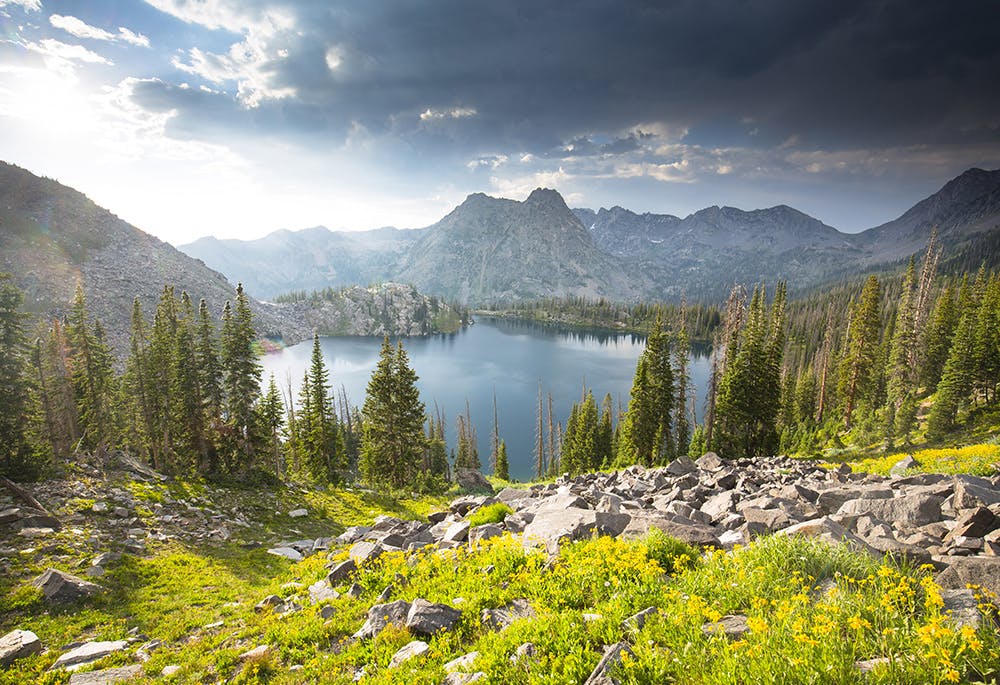 A glassy alpine lake ringed by evergreen trees with mountains in the background