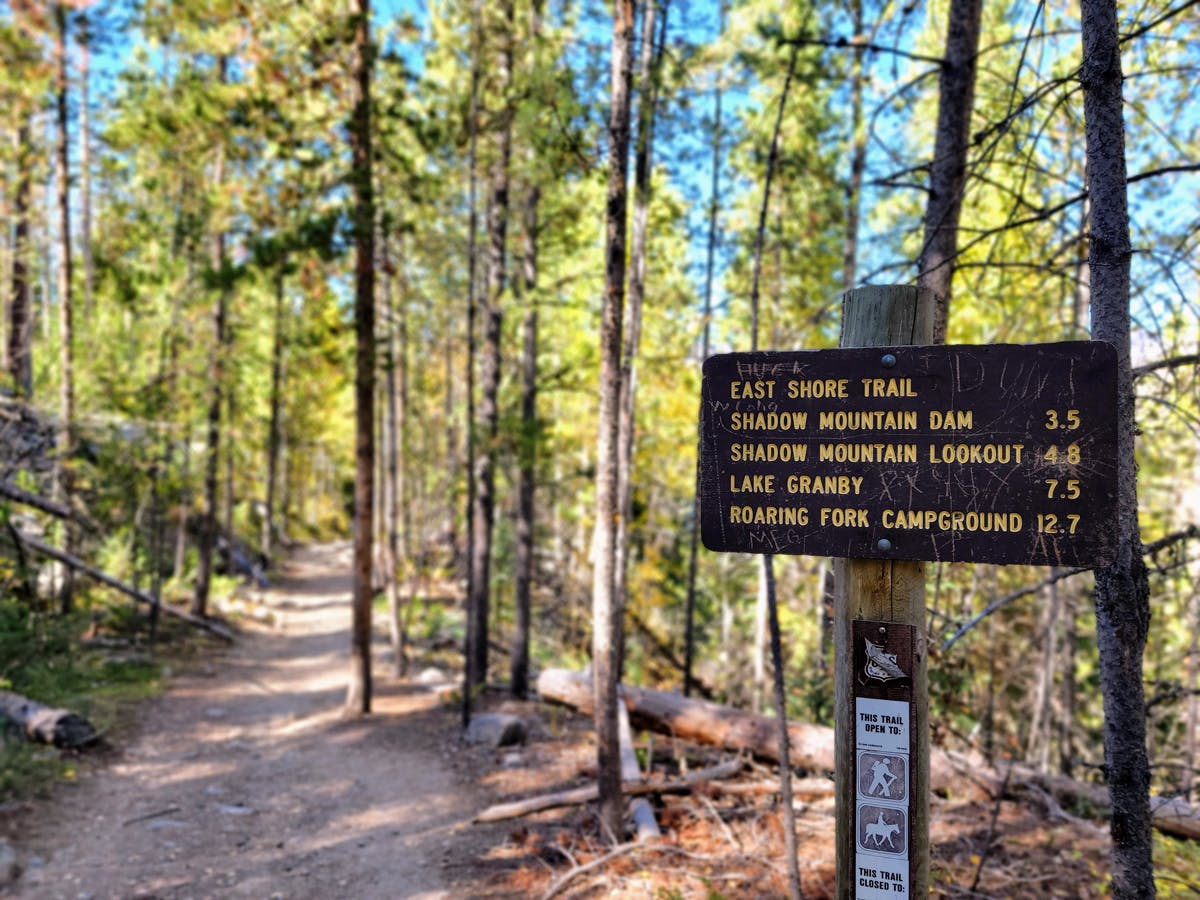 Tall pine trees line the East Shore Trail in Rocky Mountain National Park along the Continental Divide Trail. A plaque lists the distance of different landmarks.