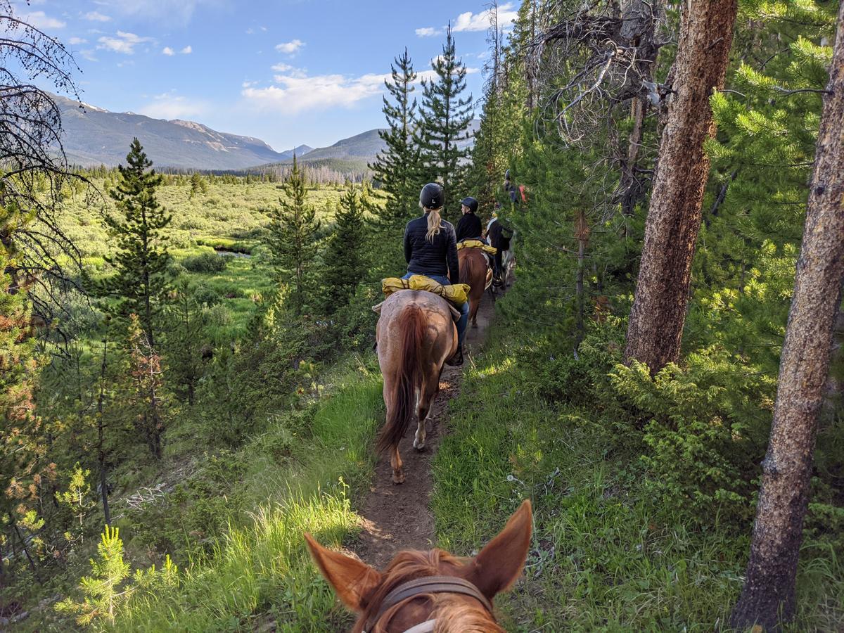 A group of horseback riders travel nose to tail along a scenic dirt path lined on one side with towering pines in Rocky Mountain National Park near Grand Lake.