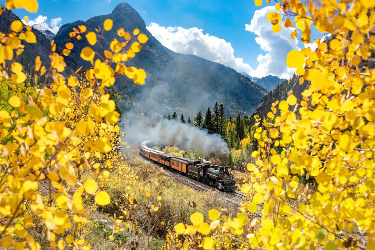 Shimmering yellow leaves of aspen trees are lit up by the sun. Beyond the trees is the Durango Train, with billowing steam coming from the first engine's smokestack.