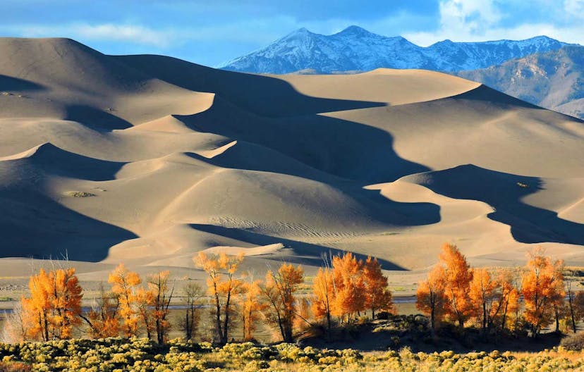 Sand Dunes in sunset shadows