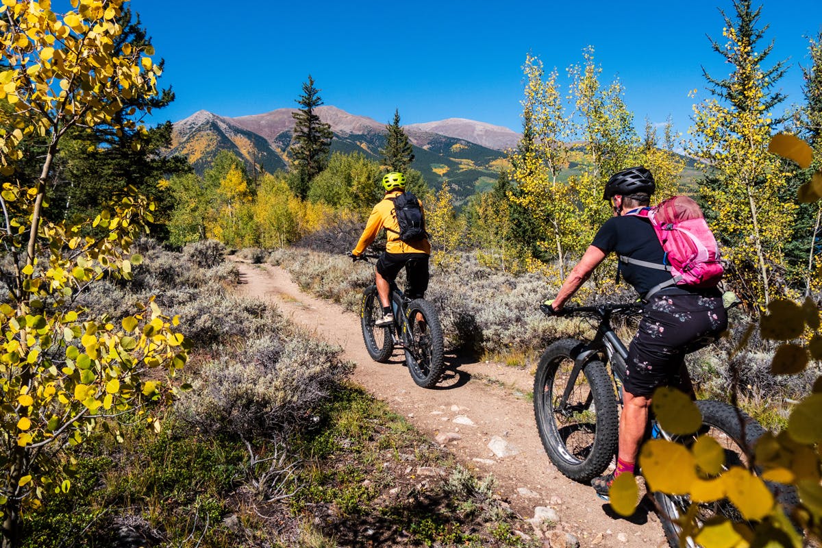 Two people on bikes with fat tires cruse on a trail through aspens turning golden in Leadville, Colorado