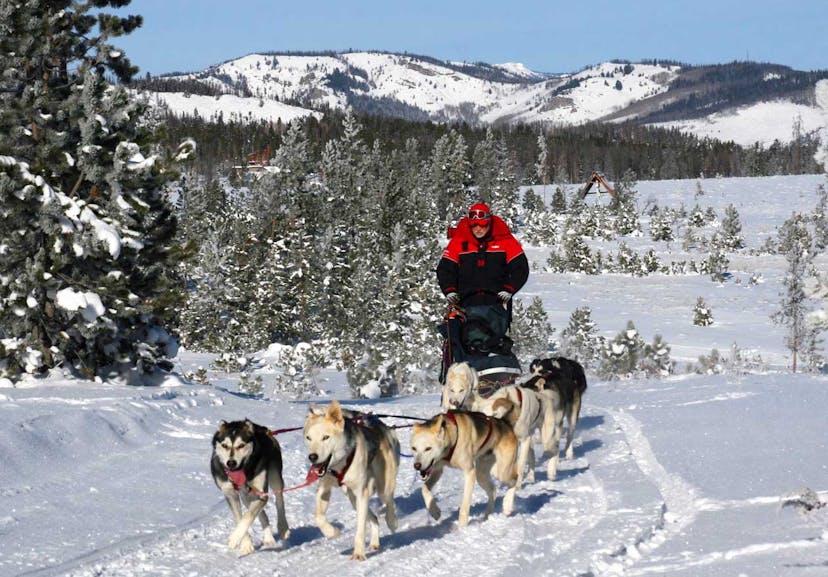 A man rides on a sled pulled by several sled dogs over the snow