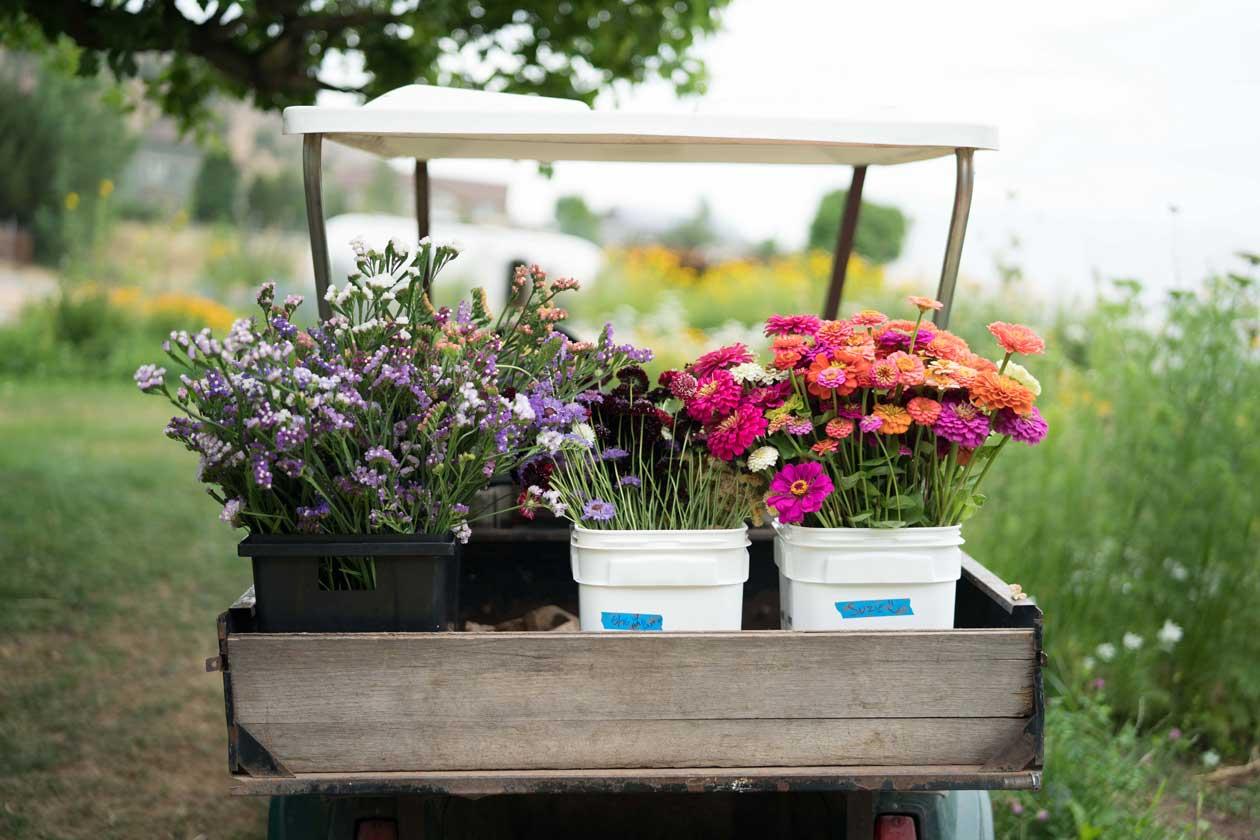 A golf cart with a load of freshly picked flowers