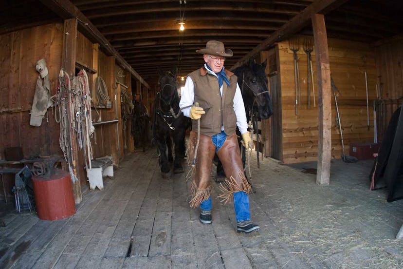 A man in chaps and a cowboy hat leads a horse out of the stables