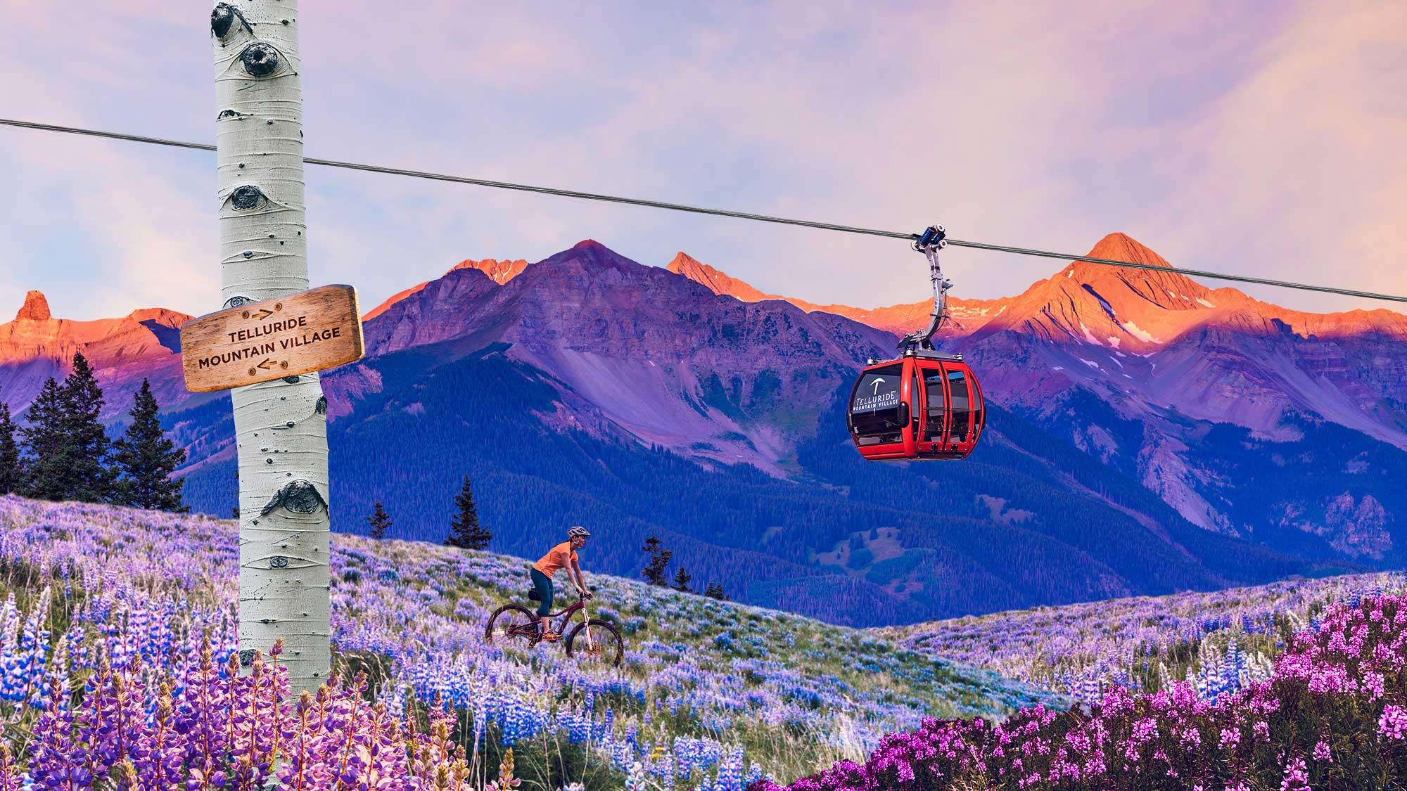 A mountain biker rides through a field of wildflowers beneath a Telluride gondola while the sun sets on a mountain peak in the disance