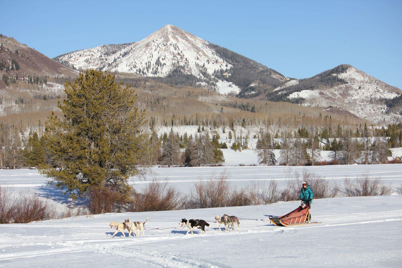 A dog-sled rider takes a tour of the winter landscape behind four galloping dogs. The sky is blue and snow-overed peaks rise behind them. 