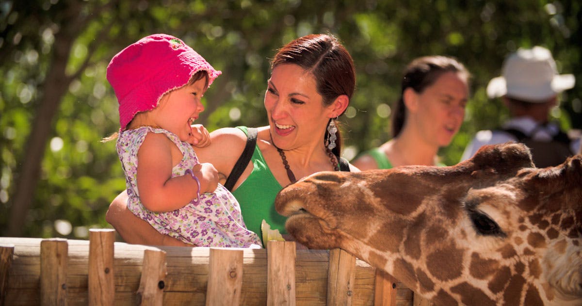 Cheyenne Mountain Zoo