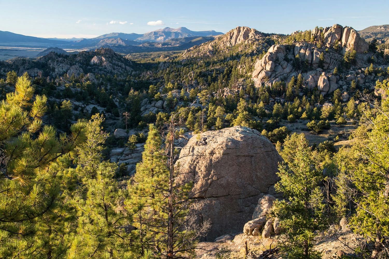 The sun shines into a rocky canyon filled with smaller rock formations and pine trees at Browns Canyon National Monument in Colorado.