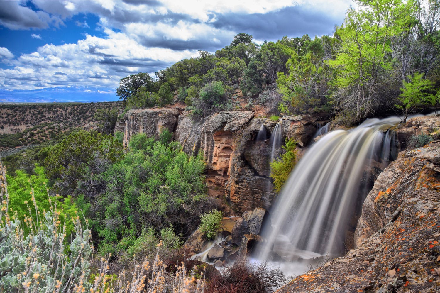 Spring Creek Waterfall in Montrose surrounded by bright green plants and a blue sky