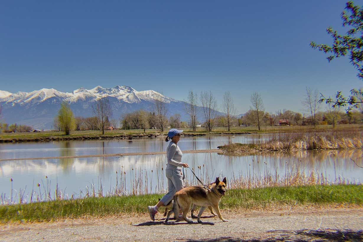 Woman walks German Shepard dog near lake in Blanca Vista Park. There are snow-capped mountains in the background with a bright blue sky, green grass and glassy lake that shows the reflection of the mountains. 