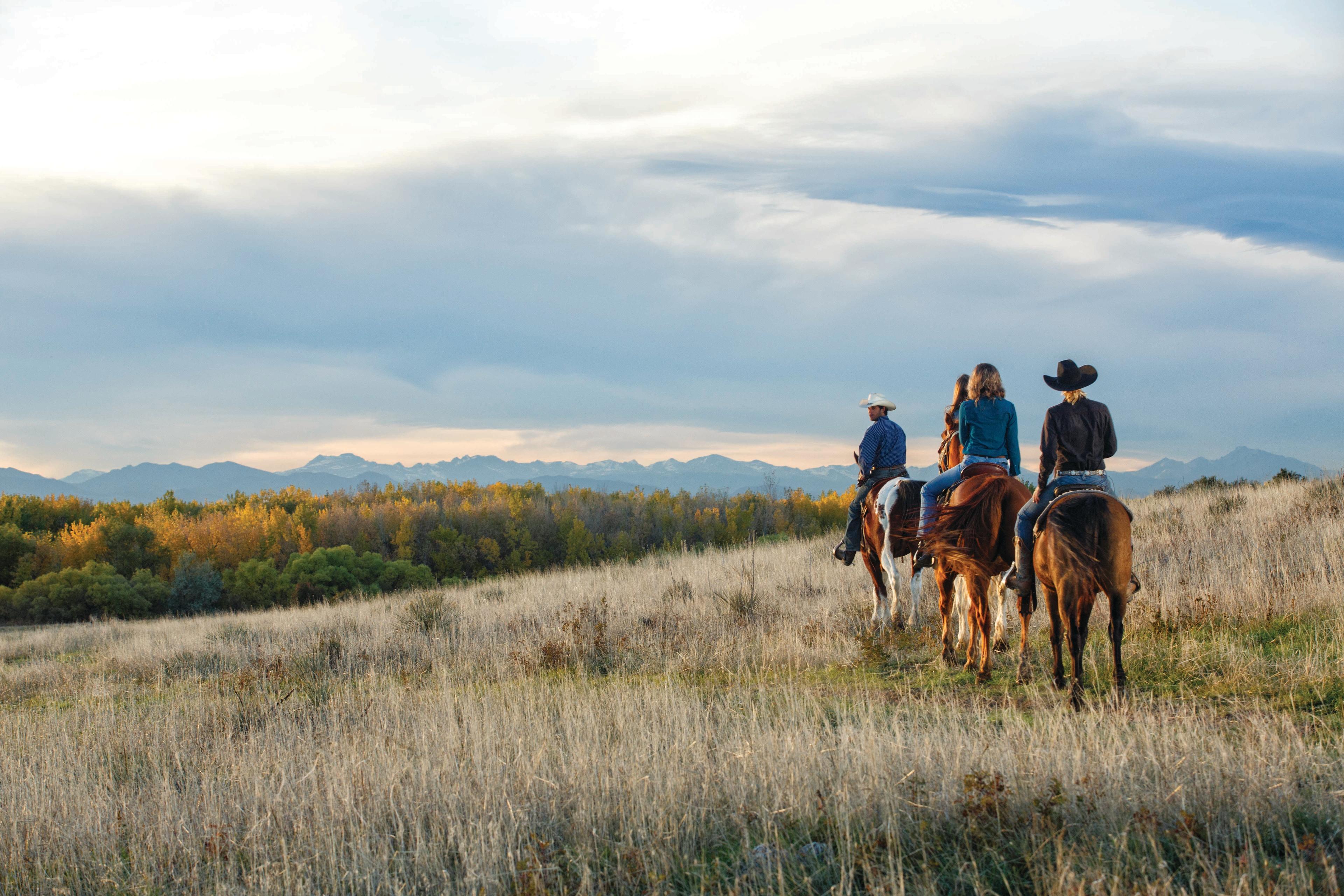 A group of horseback riders travels through a field of high grasses in Aurora, Colorado. Nearby trees show splashes of fall colors.