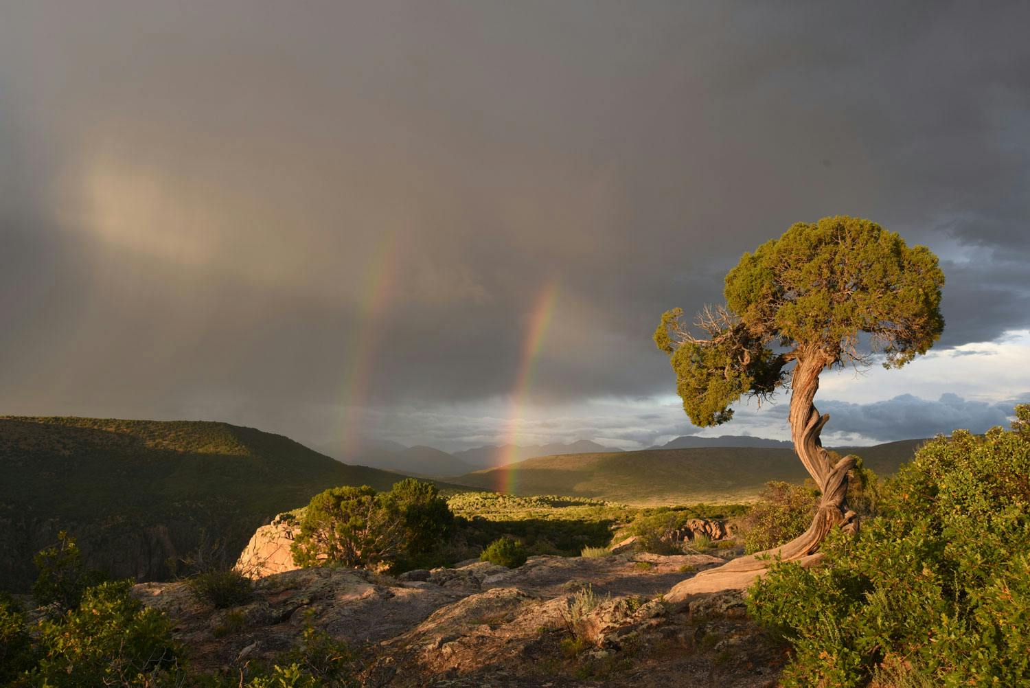 On a grey-cloud covered summer's day, a double rainbow emerges from the sky with green-tree covered hills in the distance and a rocky outcropping with a lone tree.