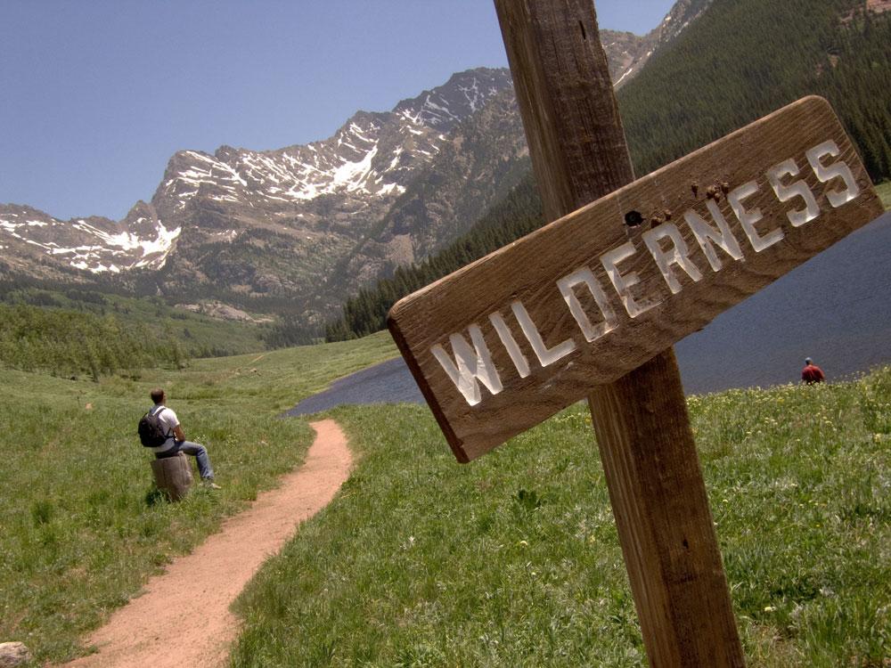 A hiker with a backpack takes a break near the side of a dirt trail that runs through a meadow. A sign brown US Forest Service says "Wilderness"