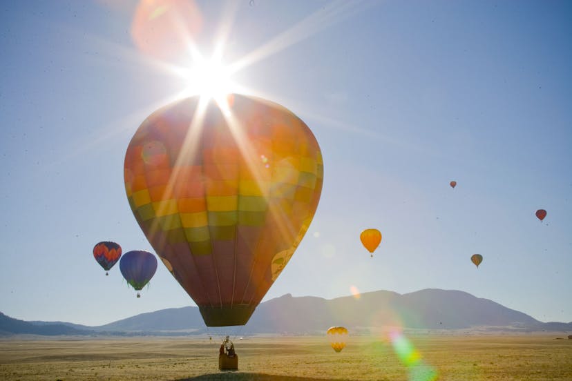 Colorful balloons soar in the morning sunlight - Colorado Springs, CO