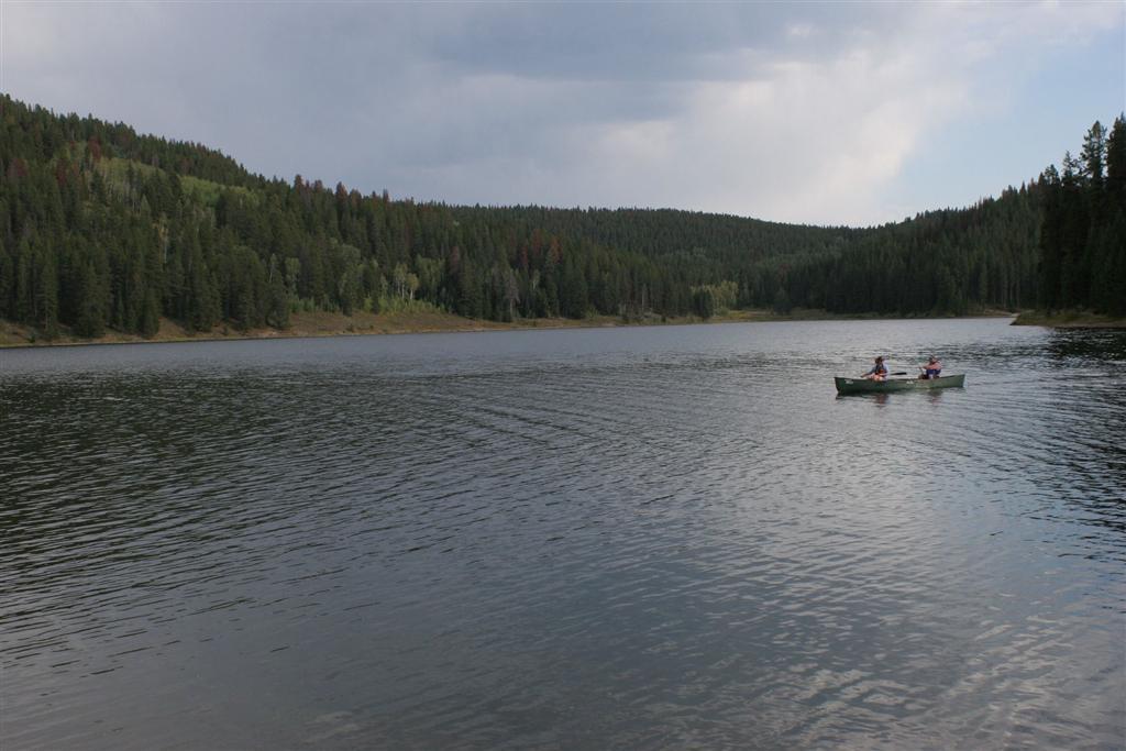 On a lake surrounded by an evergreen-covered slope, a canoe makes its way across the gray water