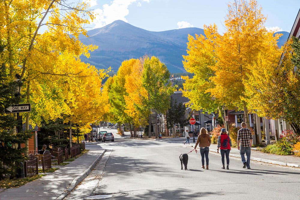 Three people walk a dog down the middle of a fall tree lined street. The leaves on the trees are bright yellow and there are mountains in the background.