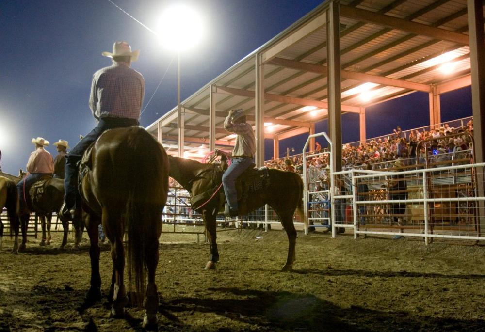 Brush rodeo