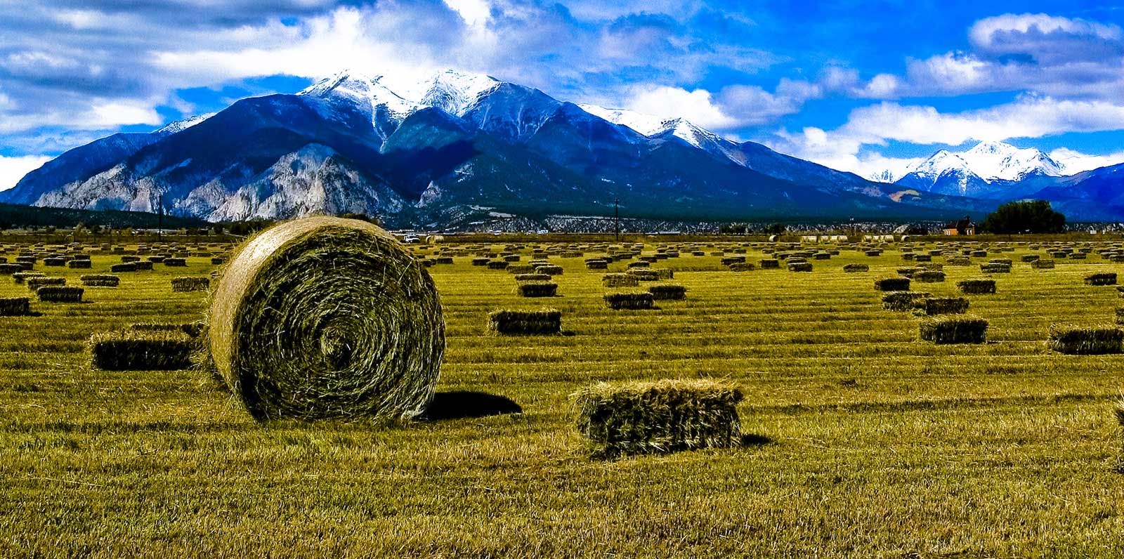 hay bales in field with colorado mountains