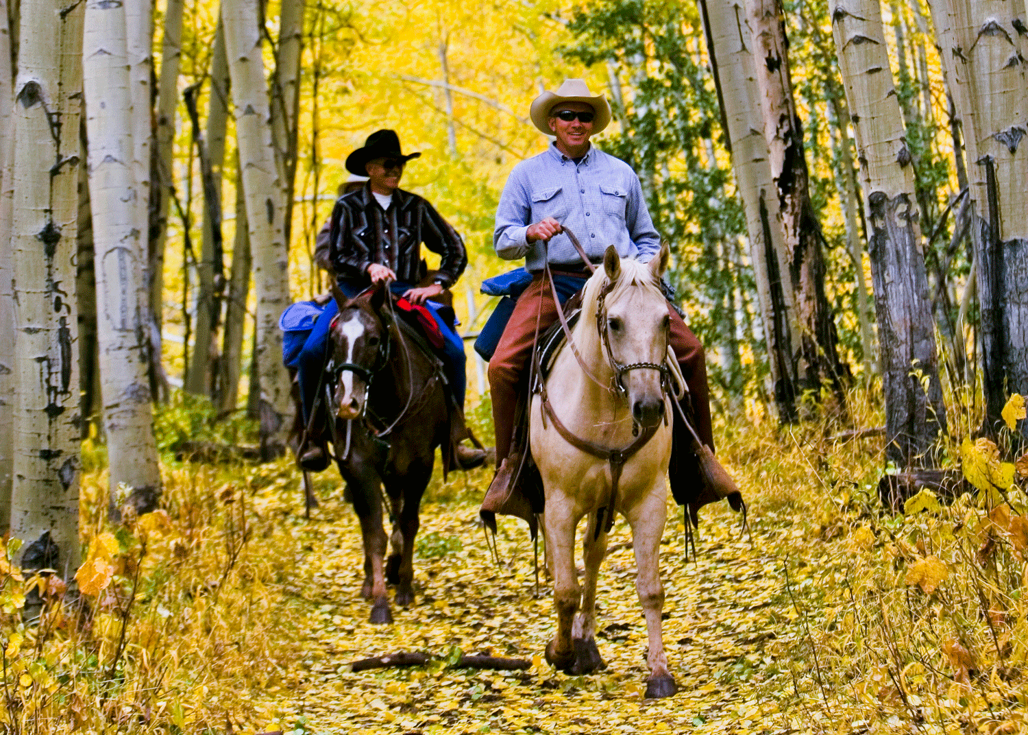 Horseback riding through Colorado's golden aspen leaves near Idaho Springs, Colorado