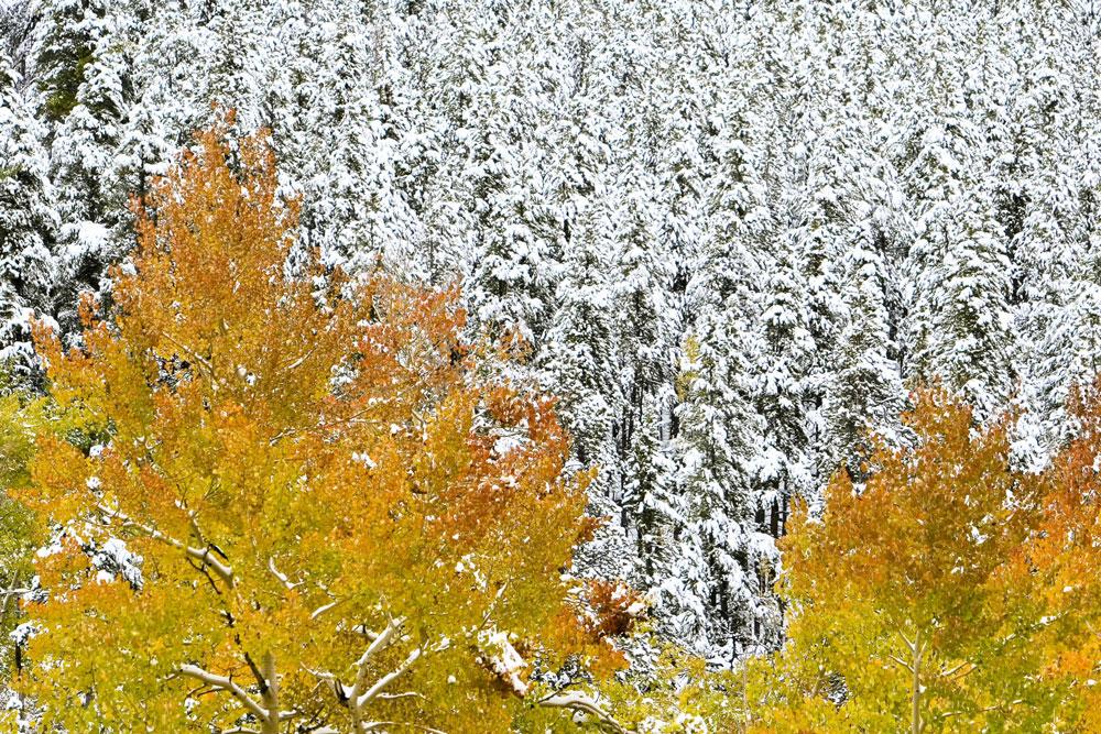 Guanella Pass at Fall