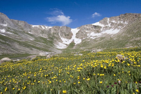 Mount Evans