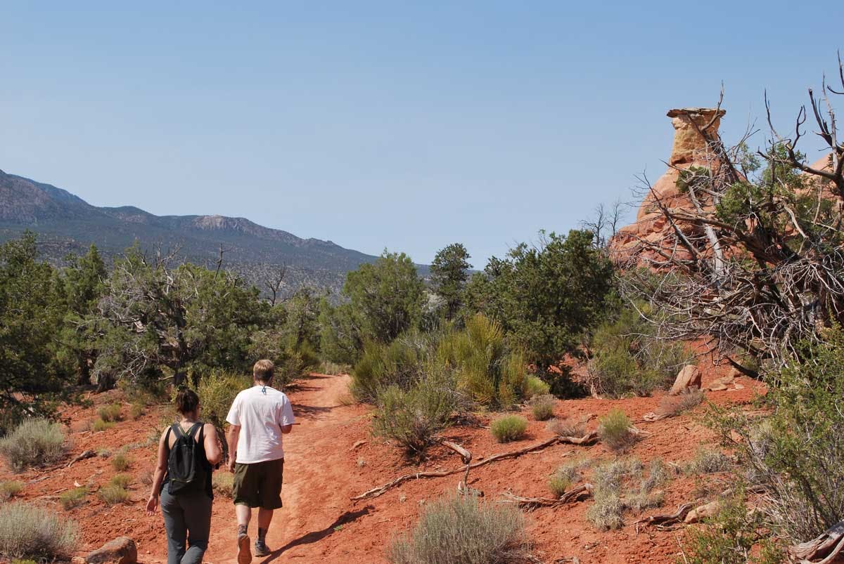 Two people walking on a red, sandy trail toward a large rock formation at Canyons of the Ancients National Monument