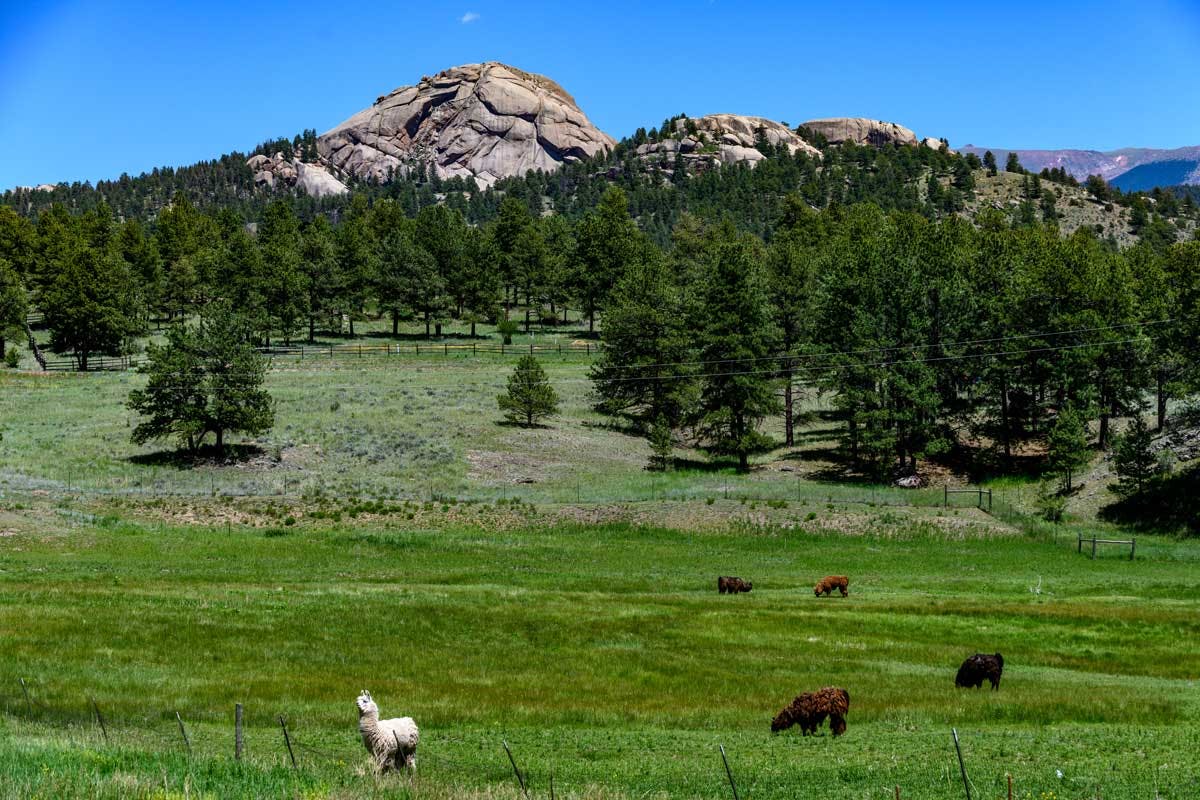 Dome Rock near Cripple Creek