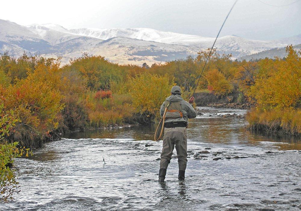 A solo fly fisher with his back to the camera stands in the middle of a calm river. On both sides golden bushes sit on the riverbanks. In the distance mountains sit meeting a gray, white sky.