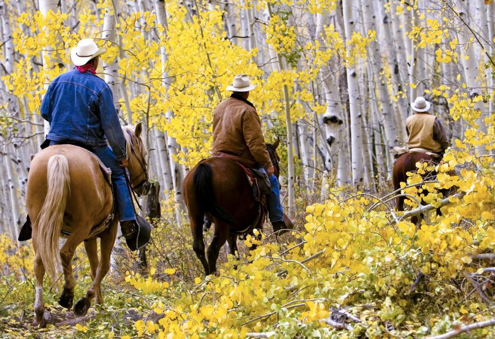 Autumn horseback riding near Crested Butte