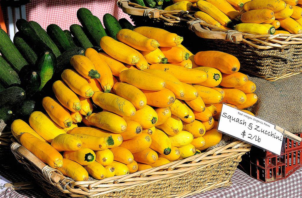 A pyramid of stacked yellow squash at the farmers market, with a pyramid of green zuccini beside it. The sign reads "Squash & Zucchini $2/lb"