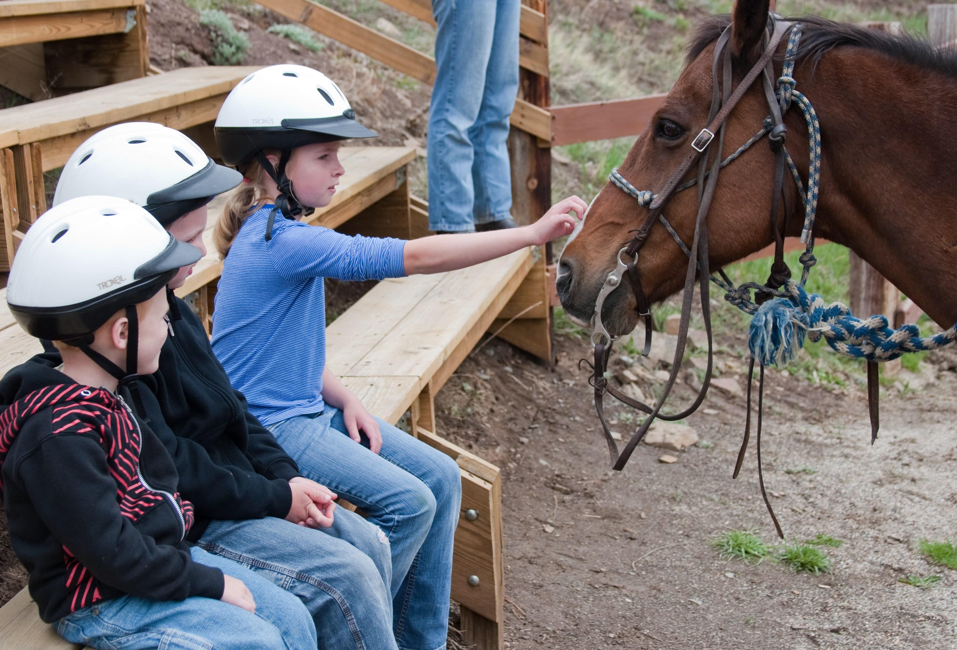 Three kids in helmets sit on a bench outside, waiting their turn for horse-riding lessons. One reches out her hand to pet the nose of a harnessed, brown horse.