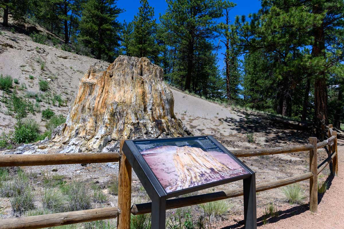 Florissant Fossilbeds National Monument